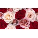 Valentines Special Valentines Special
